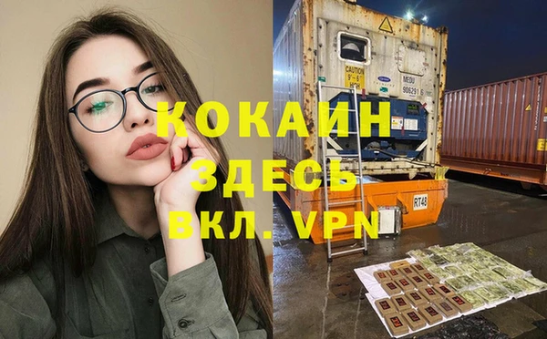 сатива Алзамай