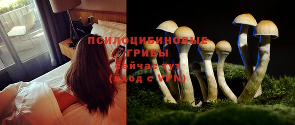 MESCALINE Покачи