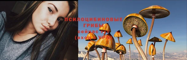 спиды Алексин