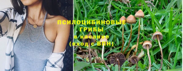 метамфетамин Алексеевка