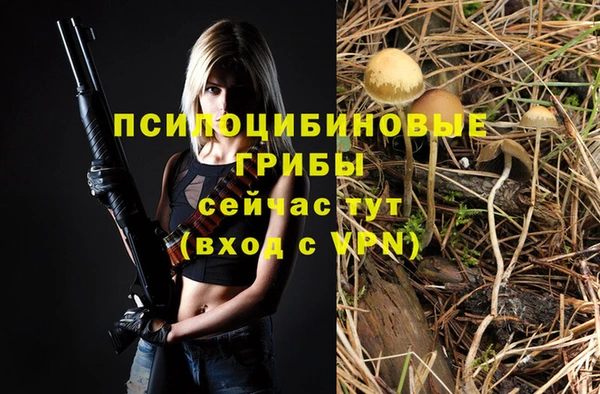 сатива Алзамай