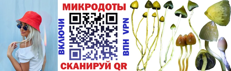 blacksprut ссылка  Боровск  Галлюциногенные грибы Psilocybine cubensis 